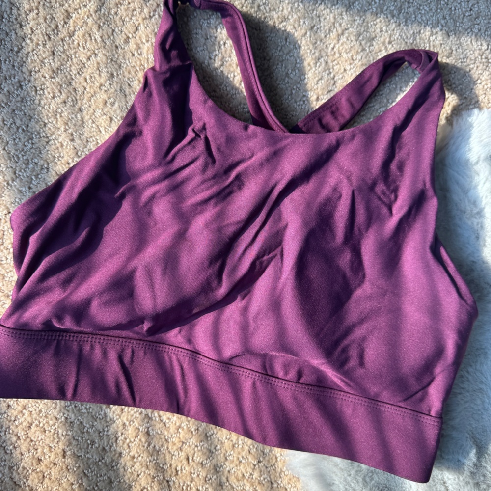 Fabletics Deep Purple Sports Bra